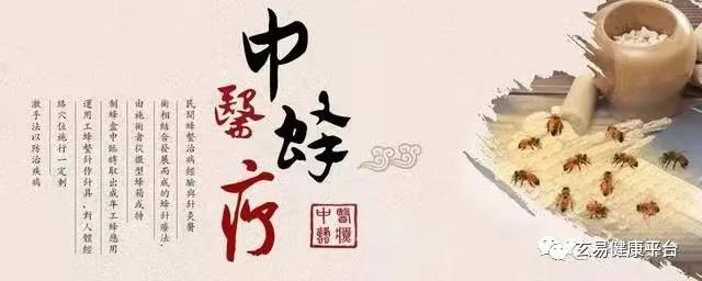 蜂针疗法网络培训班(图2)